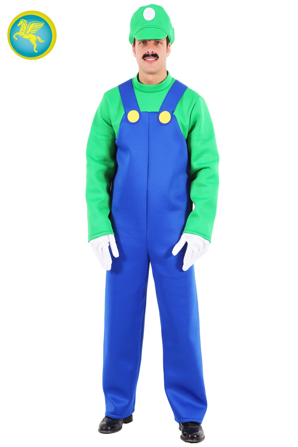LUIGI DI PEGASUS